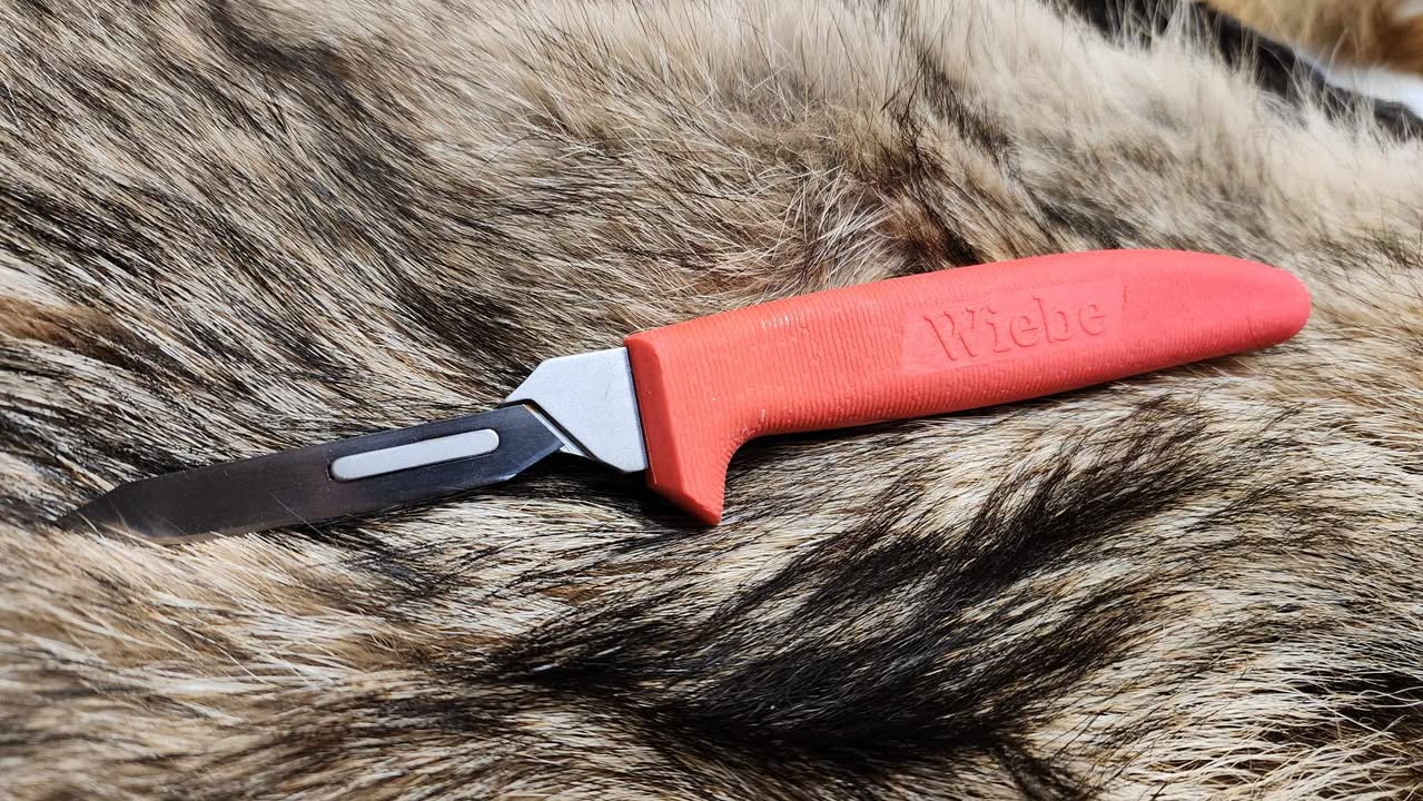 Beaver Processing Knife Guide: From Trap to Tanning