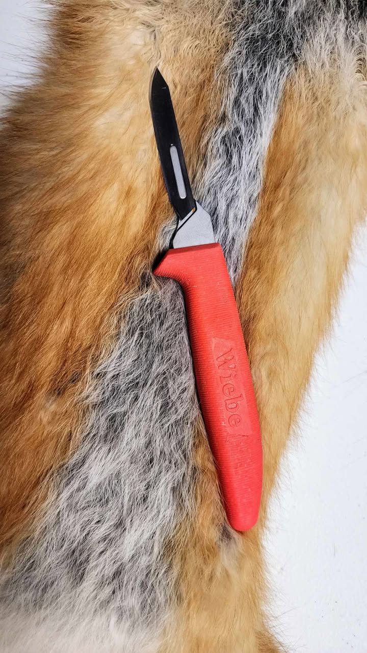 How to Choose the Best Trapping Knife