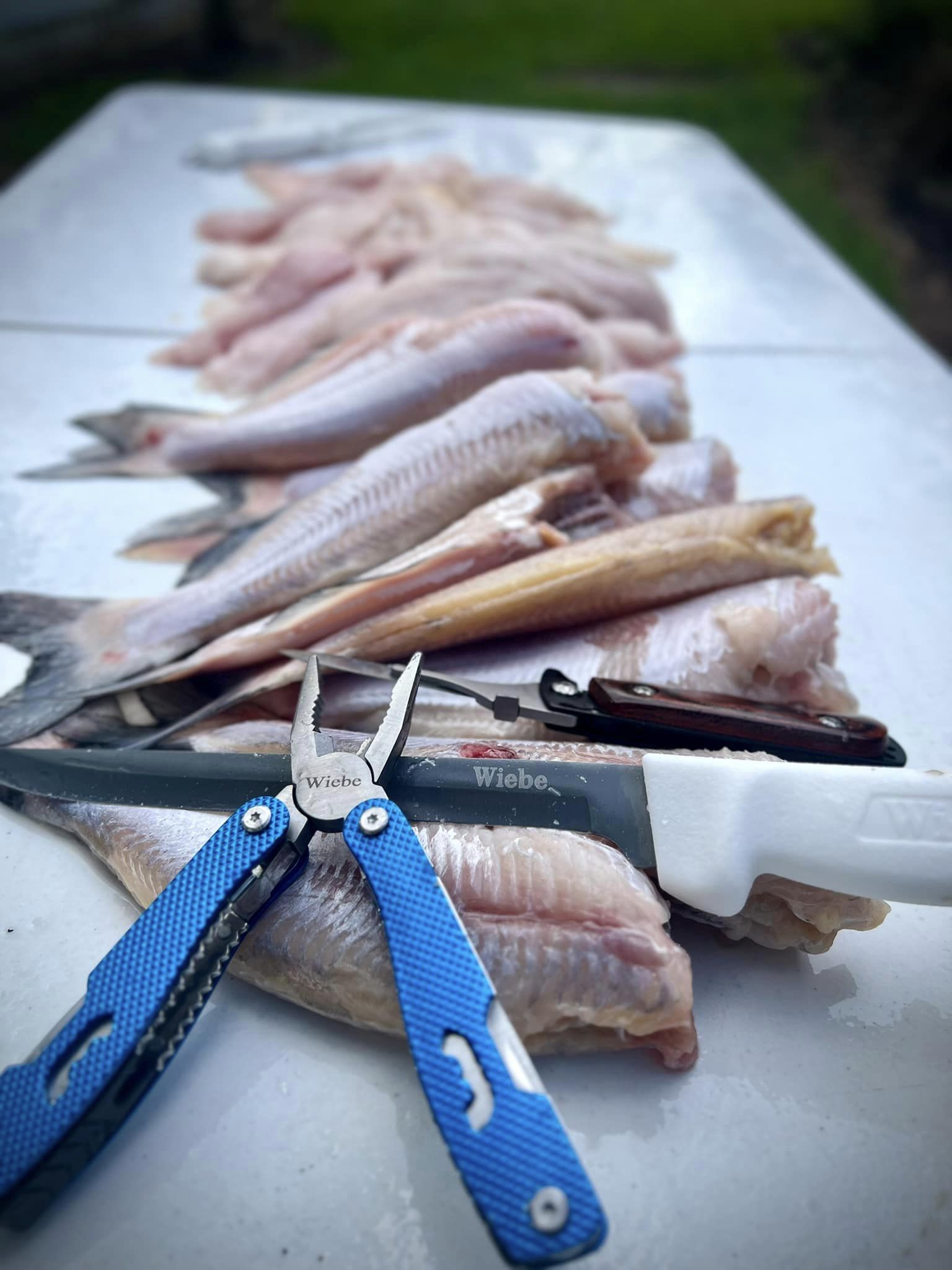 How to Choose the Best Fishing Knife