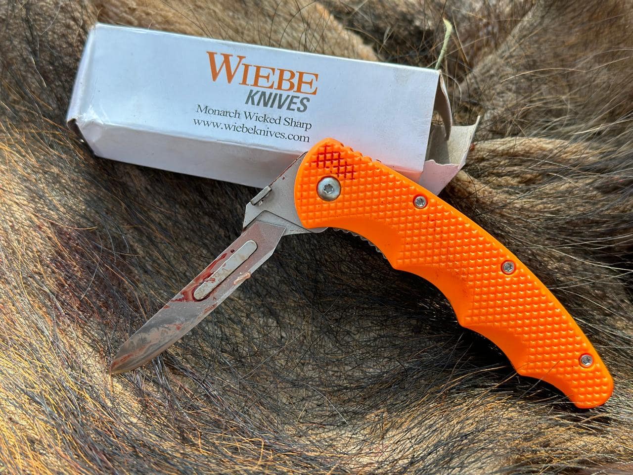 How to Choose the Best Folding Knife