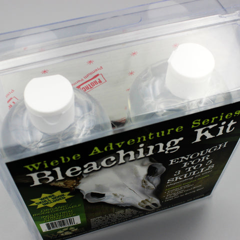 Wiebe Skull Bleaching Kit