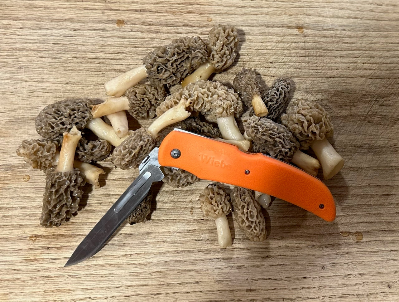 How to Choose the Best Camping Knife