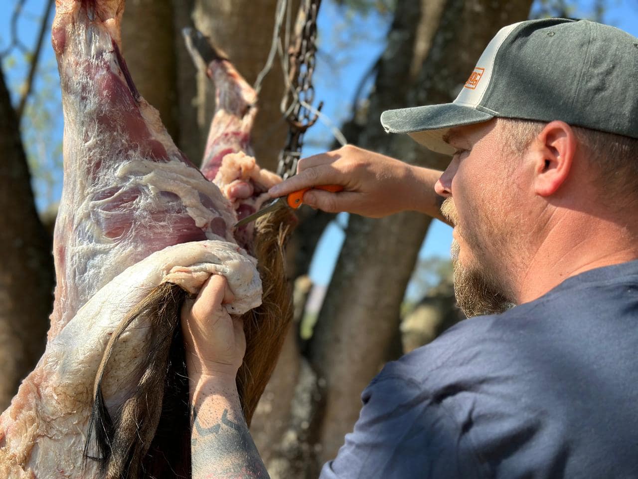 How to Choose the Best Deer Skinning Knife