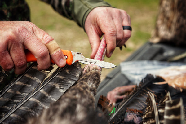 Field Dressing Knives for Sale